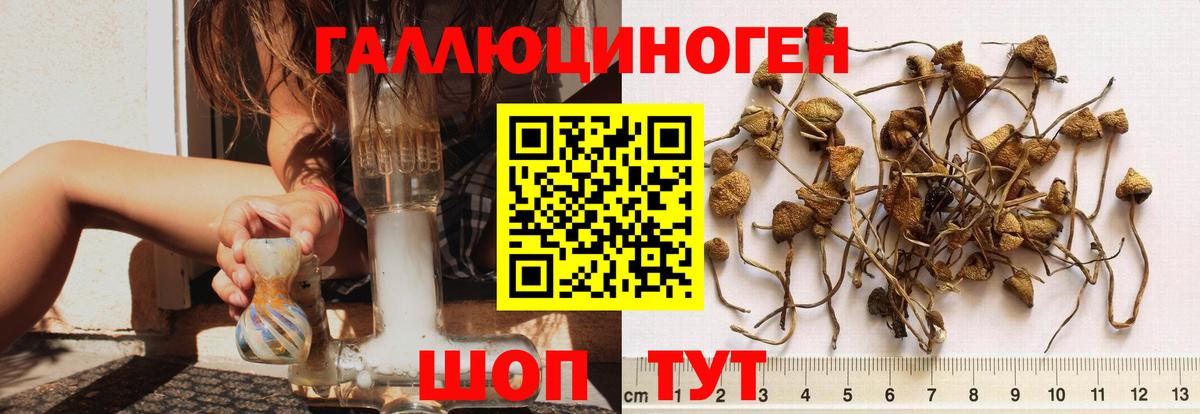 Псилоцибиновые грибы мухоморы  Вход с VPN  Лиски  Псилоцибиновые грибы Magic Shrooms 